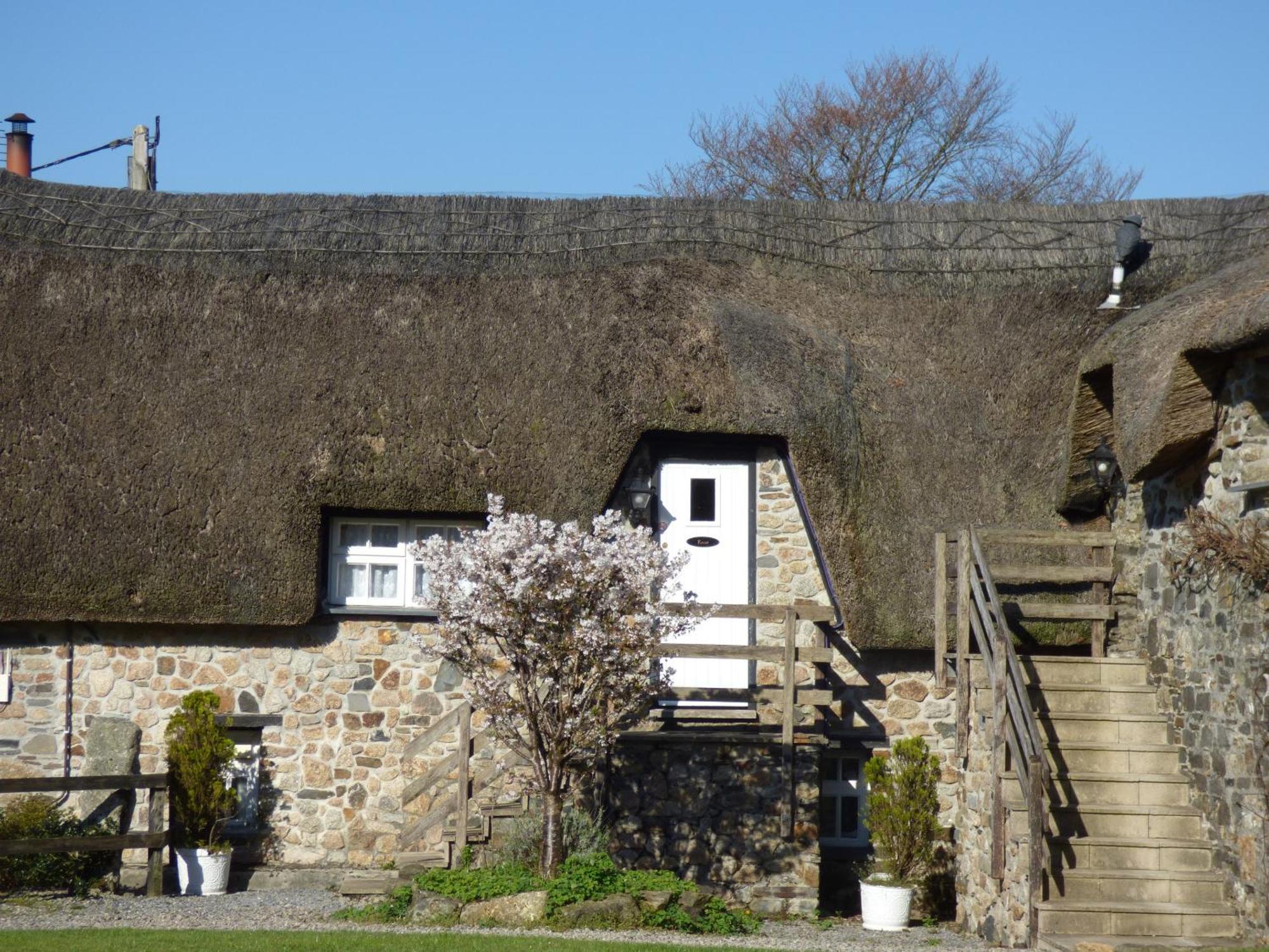 Bearslake Inn Bridestowe Exteriér fotografie